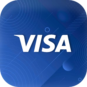 visa - square icon